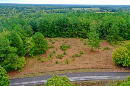 Undeveloped Land for sale in Lauderdale County, Alabama