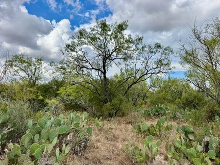 Property in Atascosa County, Texas