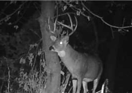 Property for sale in Polk County, Wisconsin