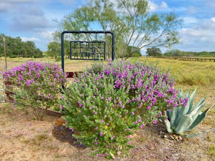 Property for sale in Wilson County, Texas