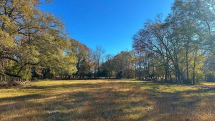 Property for sale in Wilkes County, Georgia