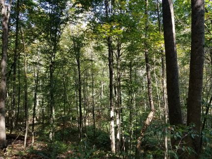 Timberland Property for sale in Adams County, Ohio