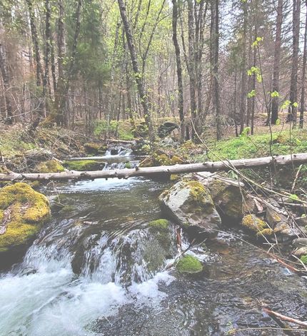 Property for sale in Trinity County, California