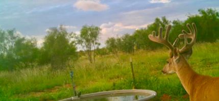 Property for sale in Dickens County, Texas