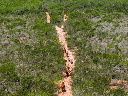 Property for sale in Duval County, Texas