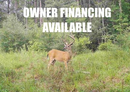 Property for sale in Newton County, Texas