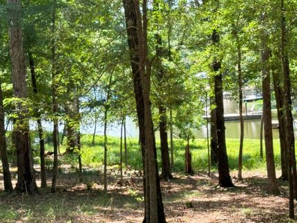 Property for sale in Lexington County, South Carolina