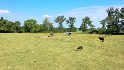 Farm Property for sale in Freestone County, Texas