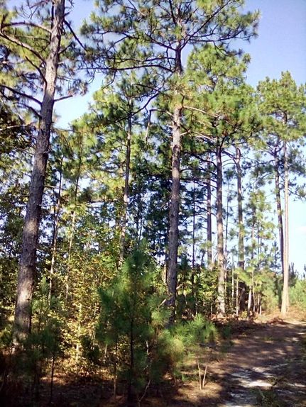 Property in Lexington County, South Carolina