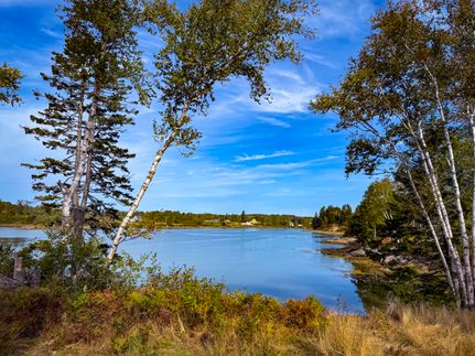 Property for sale in Washington County, Maine