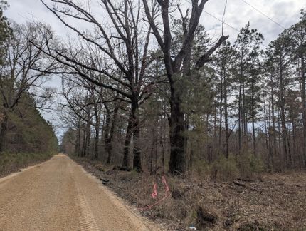 Hunting Land for sale in Drew County, Arkansas