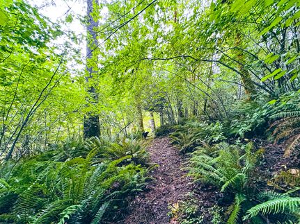 Property for sale in Lane County, Oregon