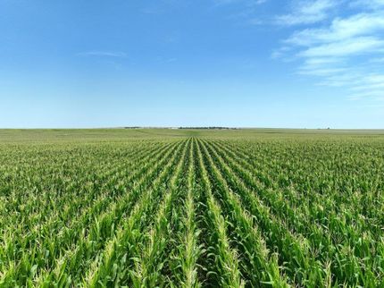 Property in Kit Carson County, Colorado