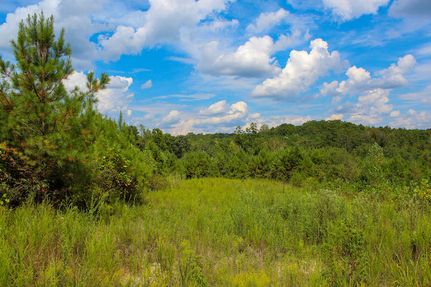 Residential Property for sale in Fayette County, Alabama