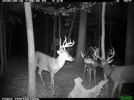 Property for sale in Madison County, Arkansas