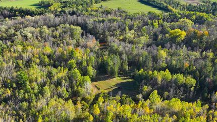 Hunting Land for sale in Ashland County, Wisconsin