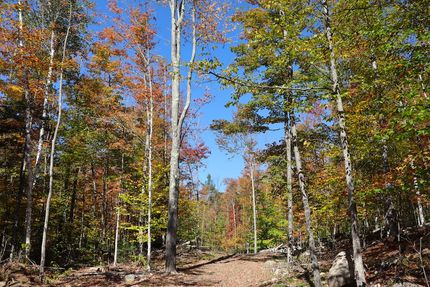 Timberland Property for sale in Warren County, New York