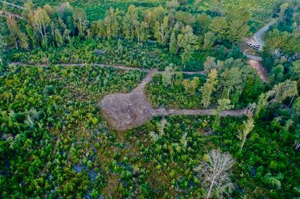 Property for sale in Walthall County, Mississippi