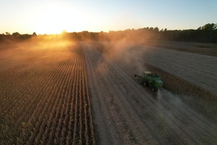 Farm Property for sale in Gladwin County, Michigan