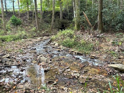 Residential Property for sale in McDowell County, North Carolina