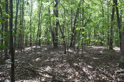 Recreational Property for sale in Campbell County, Virginia