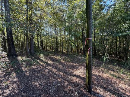 Undeveloped Land for sale in Cullman County, Alabama