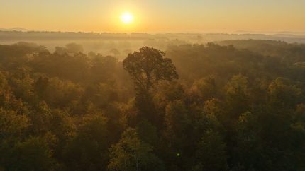 Property for sale in Polk County, Arkansas