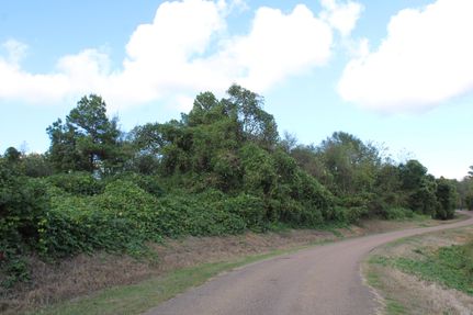 Property for sale in DeSoto County, Mississippi