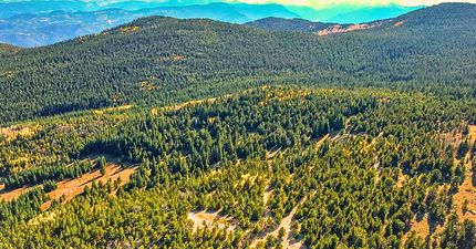 Timberland Property for sale in Gilpin County, Colorado