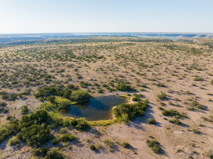 Property for sale in Terrell County, Texas