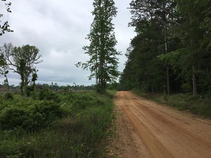 Property for sale in Nevada County, Arkansas