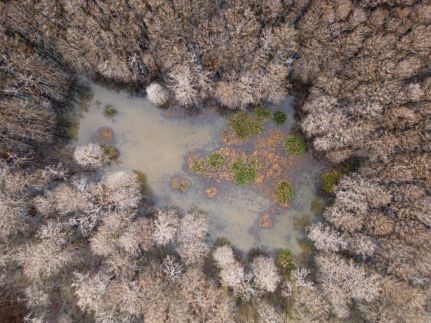 Property for sale in Jefferson County, Mississippi