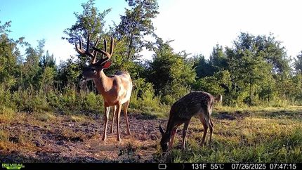 Property in Dodge County, Georgia