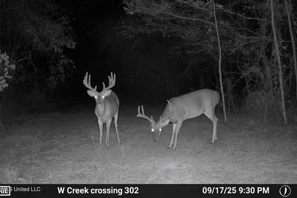 Recreational Property for sale in Claiborne County, Mississippi