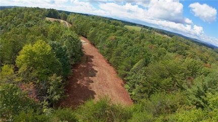 Undeveloped Land for sale in Stokes County, North Carolina