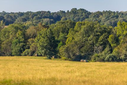 Ranch Property for sale in Shelby County, Texas