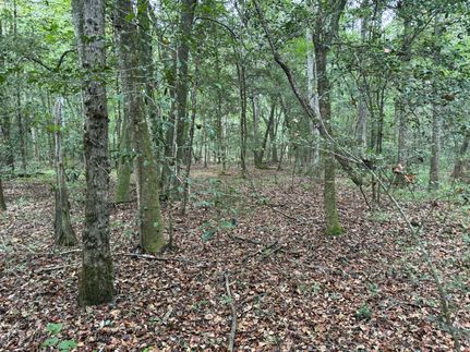 Property for sale in Crenshaw County, Alabama