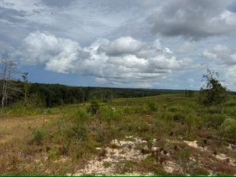 Property for sale in Dale County, Alabama