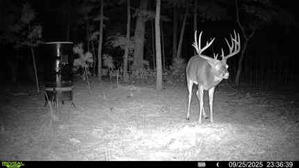 Property for sale in Pittsburg County, Oklahoma