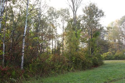 Undeveloped Land for sale in Montgomery County, New York