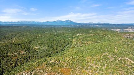 Undeveloped Land for sale in Las Animas County, Colorado