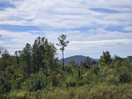 Property for sale in DeKalb County, Alabama