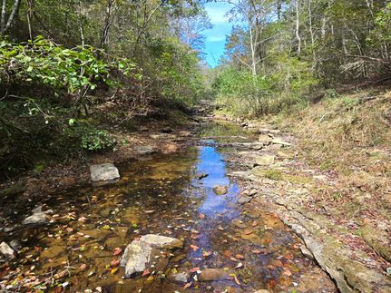 Property for sale in DeKalb County, Alabama