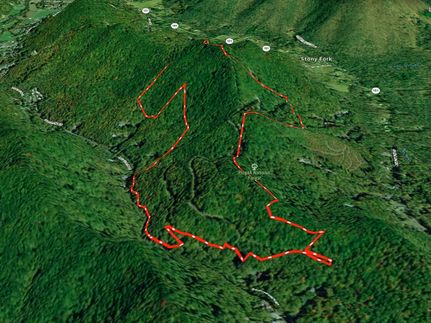 Property for sale in Buncombe County, North Carolina