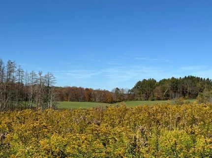 Property for sale in Chenango County, New York