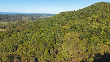 Undeveloped Land for sale in Hawkins County, Tennessee