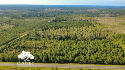 Property for sale in Tattnall County, Georgia