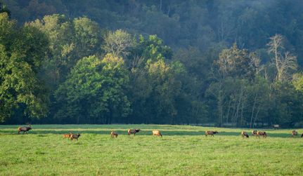 Property for sale in Newton County, Arkansas