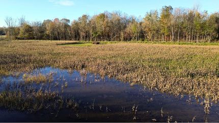 Hunting Land for sale in Benton County, Tennessee