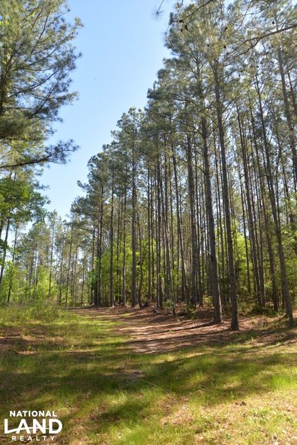 Property in Chester County, South Carolina